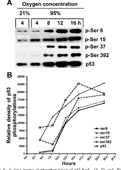 Figure From Differential Roles Of Atr And Atm In P Chk And