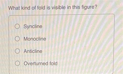 Solved What kind of fold is visible in this figure? | Chegg.com