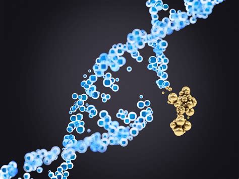 Digging Into Dna Repair With Optical Tweezer Technology