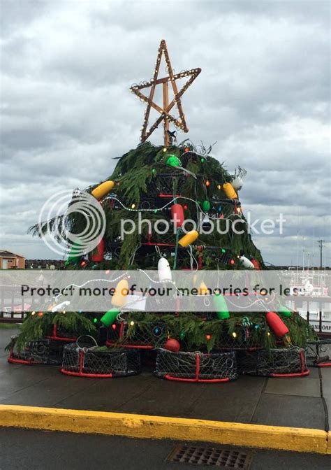 Westport Washington Christmas Tree