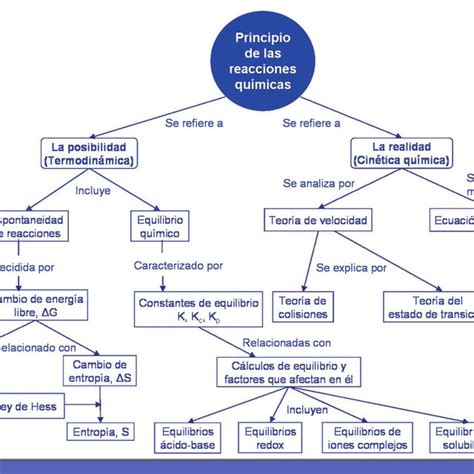 Mapa Conceptual Sobre Principios Fundamentales Images And Photos Finder