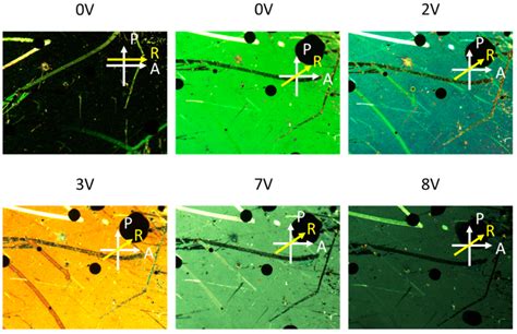 Optical Textures Of Tunable Liquid Crystal Lcgold Nanoisland Film