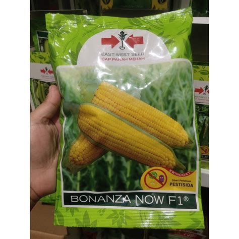 Jual Tt Benih Jagung Manis Bonanza Now F Butir Kemasan Sachet