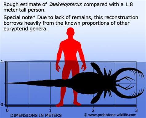 Jaekelopterus | Prehistoric animals, Arthropods, Extinction