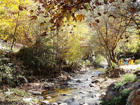 Doğa tarih ve gezi notları ile ilgili yazı fotoğraf yürüyüş