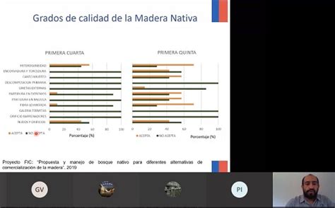 Infor Presenta Curso E Learning Para Clasificaci N Visual De Madera