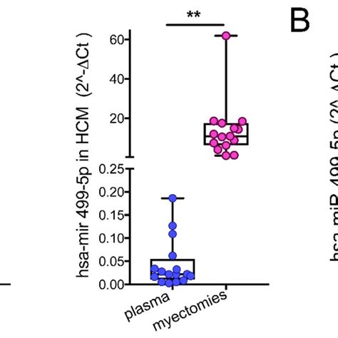 Circulating Mir The Difference Between Hsa Mir P Levels In