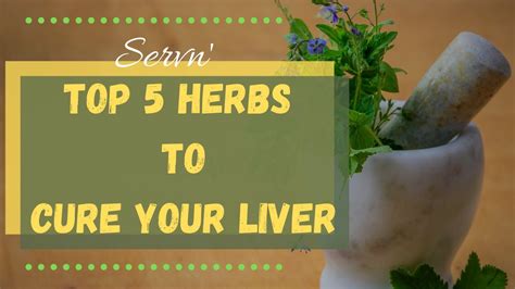 Top 5 Most Powerful Herbs To Cure Your Liver Youtube