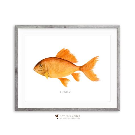 Goldfisch Aquarell Fisch Druck Goldfisch Kunstdruck Angeln Etsy De