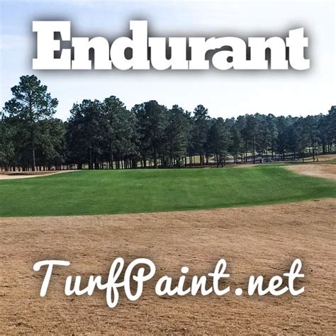 Before and after pictures of turf transformations - Endurant Turf Paint