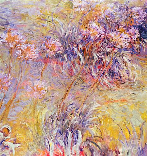 Hunter Of images | Nice monet flowers