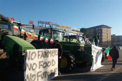 Proteste Degli Agricoltori In Italia Le Ragioni Economia E Politica