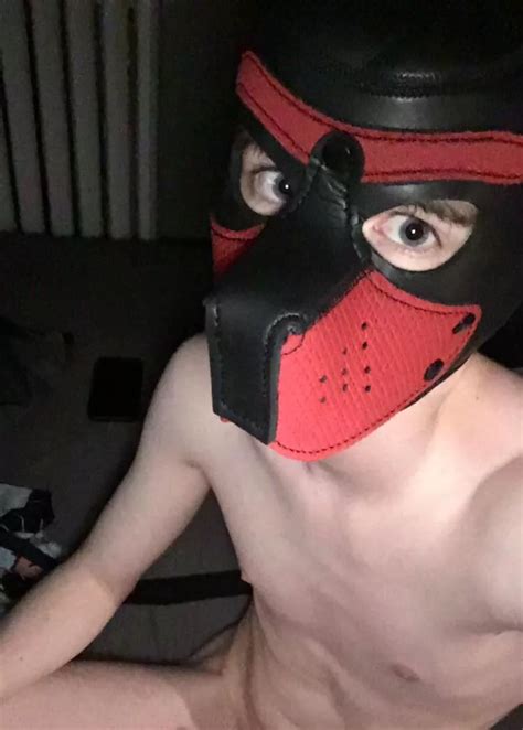 Just A Pup In Need Of An Owner Nudes Pupplay Nude Pics Org