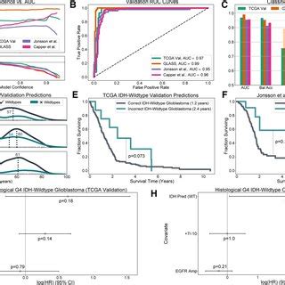 Cross Validated Idh Mutation Classifier Development A Cross Validated