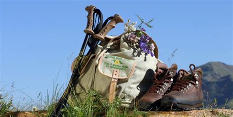 Trekking 5 Rimedi Naturali Che Non Possono Mancare Nel Kit Del