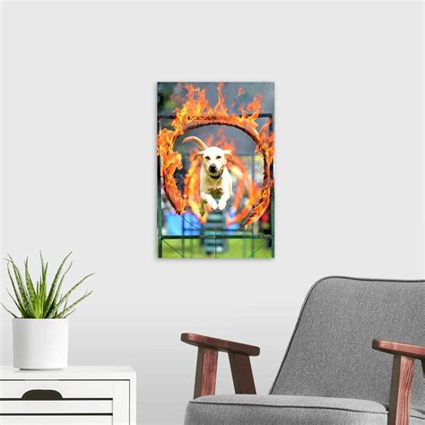 War Dog Wall Art, Canvas Prints, Framed Prints, Wall Peels | Great Big Canvas