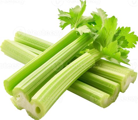 Celery Vegetable isolated - raw celery vegetable illustration 48679710 PNG