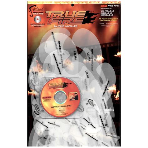 Mike Lavallee TRUE FIRE FLAMES 18 Airbrush Stencils DVD