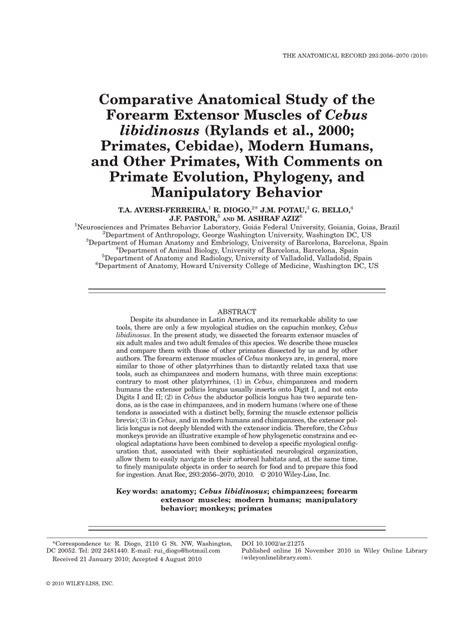 (PDF) Comparative Anatomical Study of the Forearm Extensor Muscles of Cebus libidinosus (Rylands ...