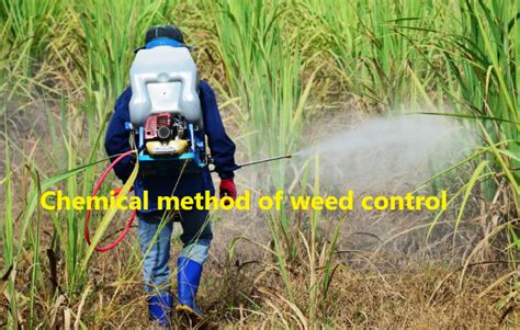 Chemical Method Of Weed Control Basic Agricultural Study