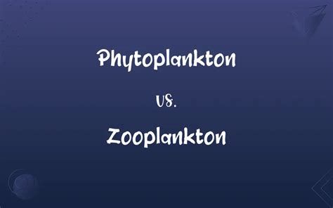 phytoplankton  zooplankton whats  difference