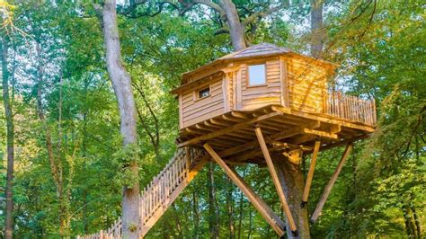 Séjour dans une cabane perchée - 1 nuit pour 2 personnes, avec petit ...