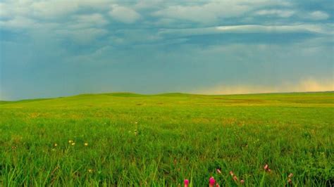 Tallgrass Prairie National Preserve, KS - National Park Trust