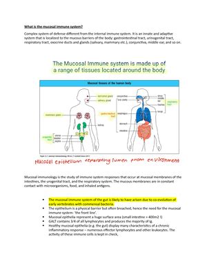 Tumour Immunology Lecture And After Sustained Tcr Signalling