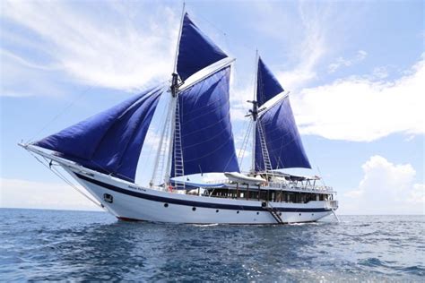 Indigo V Expeditions Partners With Seatrek Sailing Adventures