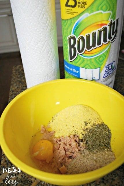 Catnip Cat Treats Recipe - Mess for Less