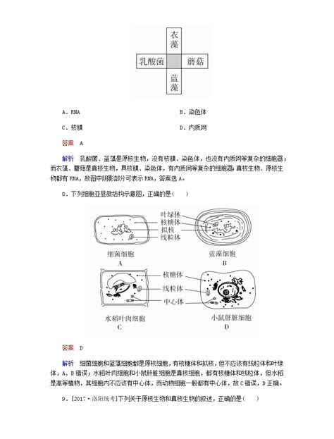 高考生物一轮专题复习专练 第一讲：走进细胞专题体验 教习网试卷下载