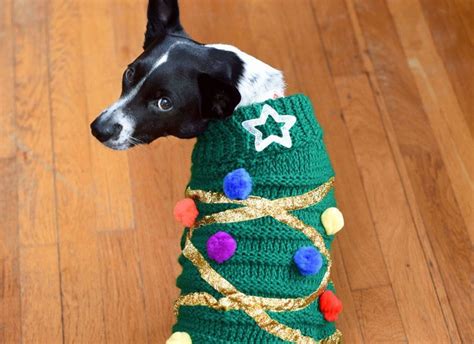 13 Amazing DIY Christmas Sweaters for Dogs (With Pictures) – Dogster