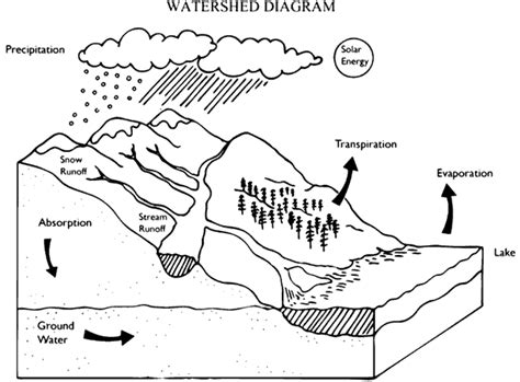 Simple Watershed Diagram