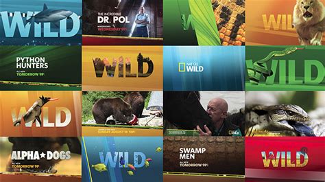 National Geographic Wild Channel Logo