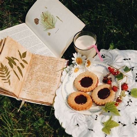 35 Picnic Aesthetic Photoshoot Ideas Cottage Core Aesthetic Cottage