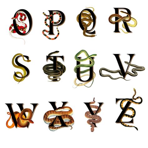 Snake Alphabet Snake Letters Initials Upper Case And Snakeskin