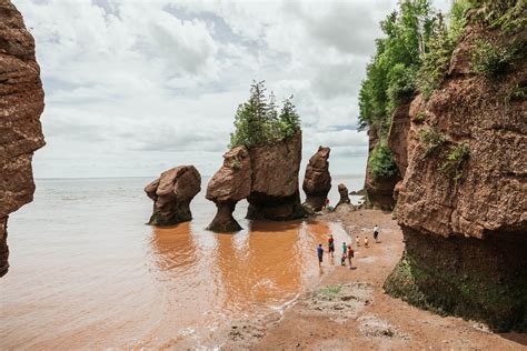 Hopewell Rocks Provincial Park Explorenb Tourism New Brunswick