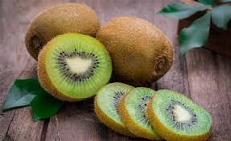 Jual Benih Biji Buah Kiwi Hijau Biji Di Lapak Pelangi Flora