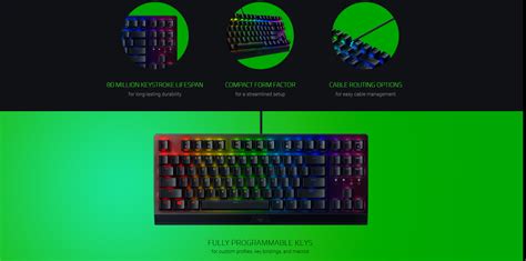 Razer BlackWidow V3 TKL, Razer Green Switches Clicky and Tactile, ABS ...