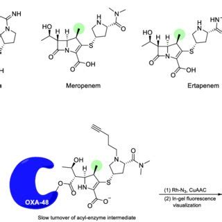 Carbapenem concentrations used in the carbapenem-supplementedtest media ...