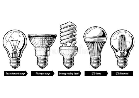 Ensemble D évolution D ampoule Illustration de Vecteur Illustration