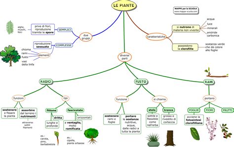 Mappe Per La Scuola PIANTE