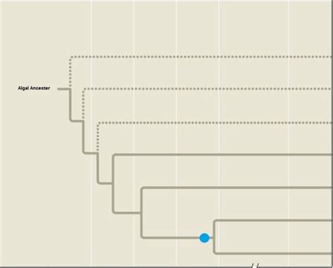 BIOL 1202 S Pomarico Exam 2 Flashcards Quizlet