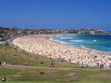 Would You Pay 80 To Sit On Bondi Beach Bondi Beauty