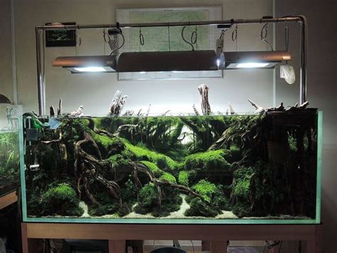 Timeline Photos Wabi Kusa Paludar Um Aquascaping Terrarium