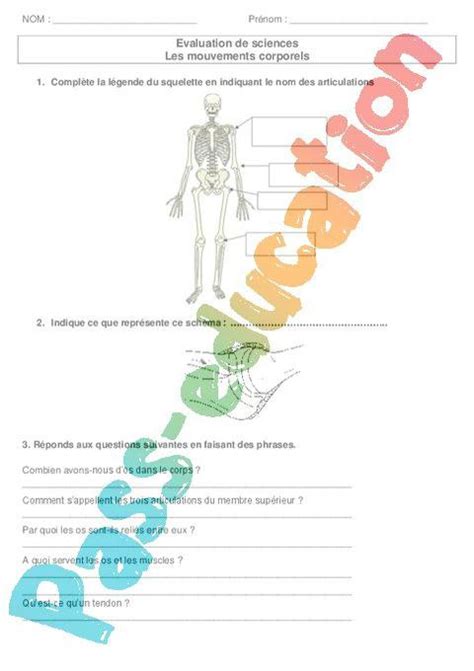 Mouvements corporels Ce2 Cm1 Evaluation PDF à imprimer par Pass