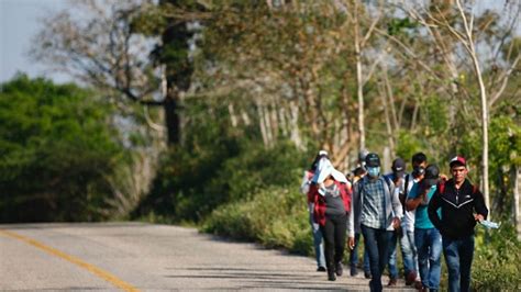 COMAR Solicitudes de asilo en México rompen marca histórica son 77