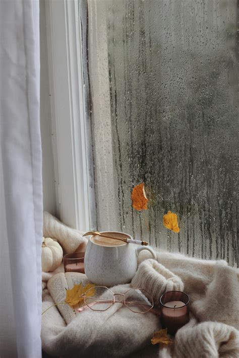 Rainy Autumn Photos, Download The BEST Free Rainy Autumn Stock Photos ...