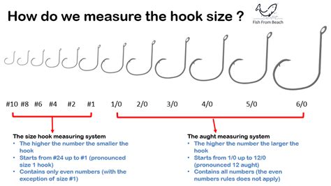 What Hook Size For Surf Fishing Fish From Beach