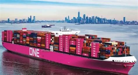 oneone innovation teu